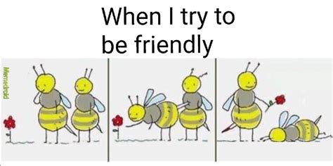 Bee Friendly You Know Meme By Bunsenburner73 Memedroid