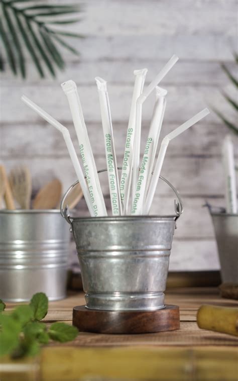 100 Biodegradable Corn Starch Straws ⌀6mm Soul Tree