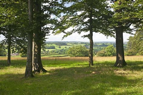 The Heath House Estate In Staffordshire — Francis York