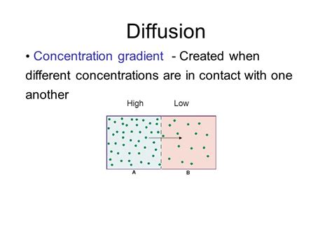 The Cell In Its Environment Function Of The Cell Membrane To