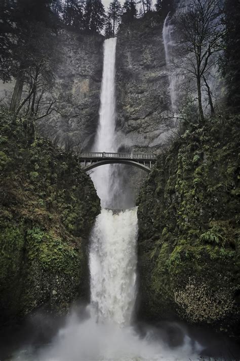 View Multnomah Falls Oregon Usa Free Photo Rawpixel