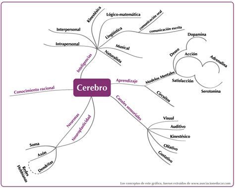 Neurociencia Y Aprendizaje