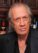 Report: Actor David Carradine Has Died : The Two-Way : NPR
