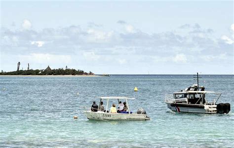 Nouvelle Calédonie Les Campagnes D Abattage De Requins Interdites Par La Justice La Dépêche
