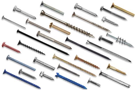 5 Types Of Screws Every Diyer Should Know 2022