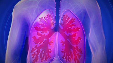 Ultrasound Based Tech Measures Fluid In The Lungs