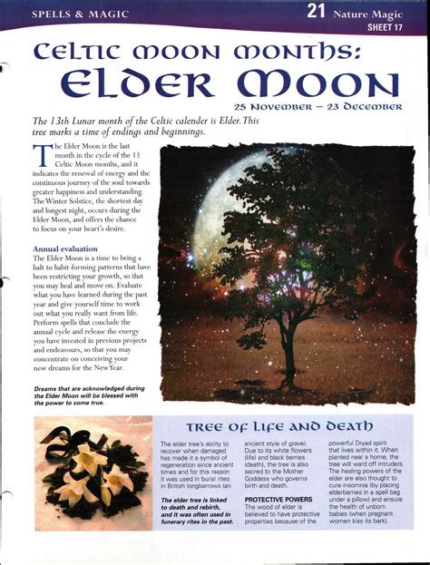 Celtic Moon Months Elder Moon Book Of Shadows Celtic Tree Celtic Moon