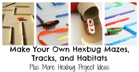 Hexbug Mazes And Habitat Ideas Inspiration Laboratories