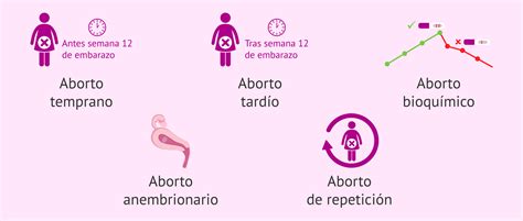 Qu Es El Aborto Espont Neo Por Qu Se Produce Tipos Y S Ntomas