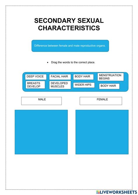 Secondary Sexual Characteristics Activity Live Worksheets