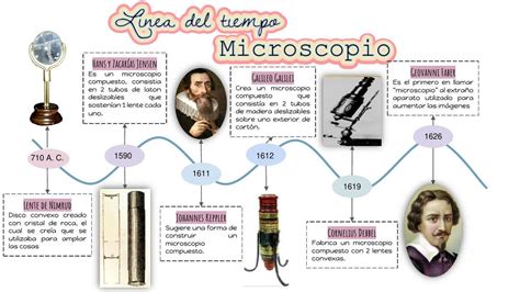 Linea Del Tiempo Del Microscopio Ranita Cientifica Udocz