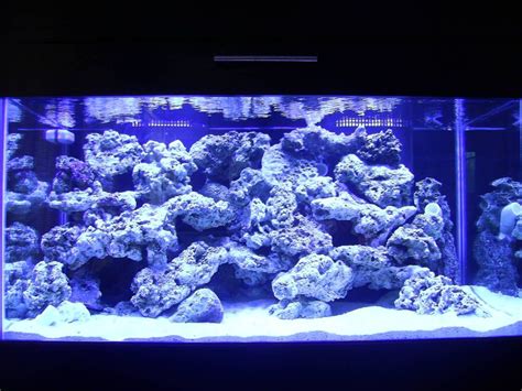 Drilling live rock is my preferred method of aquascaping a saltwater aquarium. reef aquascaping designs | Your aquascaping pics ...