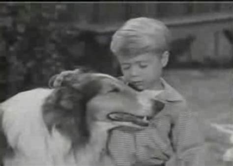 17 Best Images About Timmy And Lassie On Pinterest The Martin Best