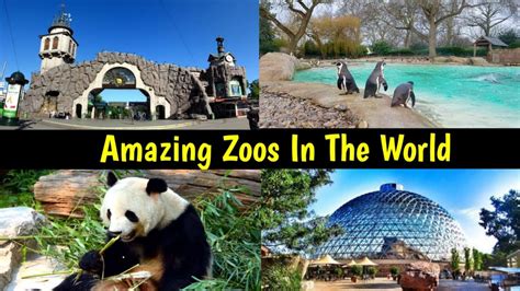 Amazing Zoos In The World دنیا میں موجود بڑے چڑیا گھر Youtube