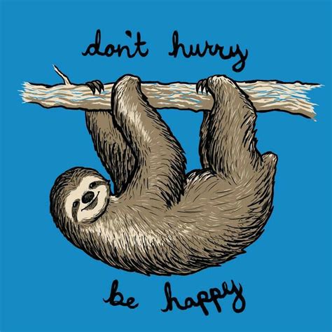 Dont Hurry Be Happy Sloth Sloth Cute Sloth Pictures Sloth Tattoo