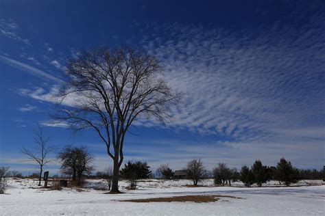 Winter Landscape In Ontario Countryside Canada Photograph By Andrei