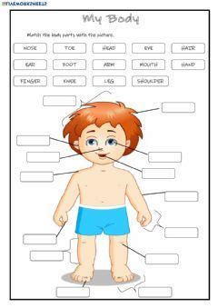 We share the following free pdf worksheet. My Body Language: English Grade/level: Grade 2 School ...