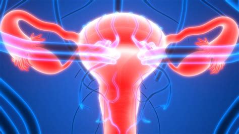 Fallopian Tube Removal May Help Prevent Most Common Ovarian Cancer