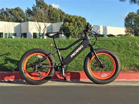 Pedego 20″ Trail Tracker Review