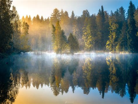 Morning Forest Fog Lake Trees Autumn Finland Wallpaper Nature