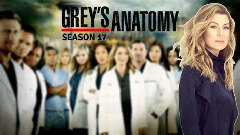 'grey's anatomy' season 17 might be the last season of the show. Se estrenó temporada 17 de Grey's Anatomy