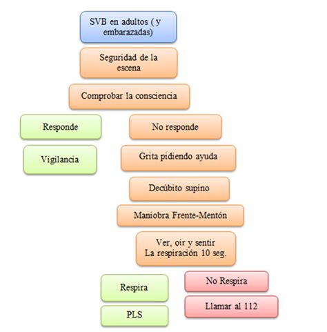 Permeabilizar via aerea (aspiracion de secreciones si fuese necesario). Tema 5 - RCP Básica y Obstrucción de la Vía Aérea por ...