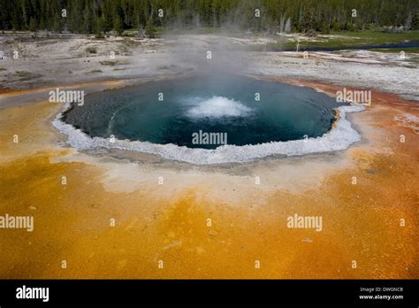 Chromatic Pool In Upper Geyser Basin Yellowstone National Park