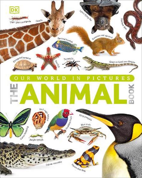 Animal Book By Dk Hardcover 9781409323495 Buy Online At The Nile