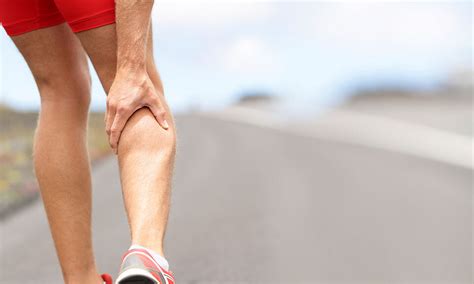 Calf Muscle Injuries — Brookvale Physio Hprs Physio