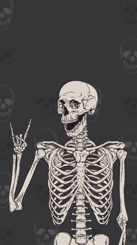 Share More Than 59 Cute Skeleton Wallpaper Latest Incdgdbentre