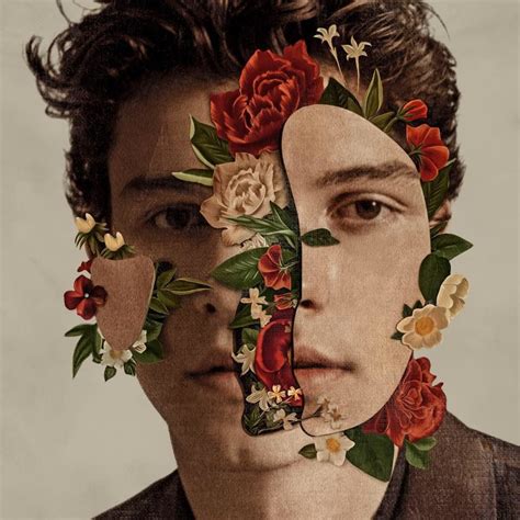 Critique Culte Shawn Mendes The Album