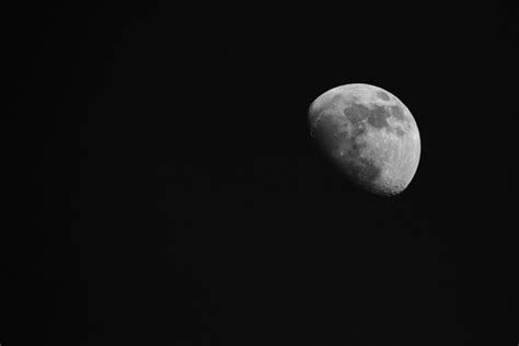 Black And White Moon Everything Is Permuted Stay Home Save Lives