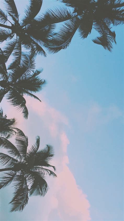 Chill Vibes Wallpaper 69 Images