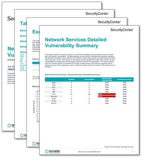 Vulnerability Report Template