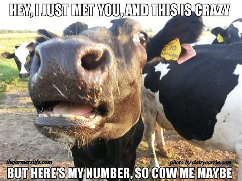 funny agriculture jokes freeloljokes