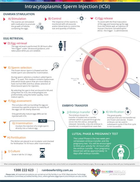 Ml54 Rainbow Fertility Icsi Infographic2 Rainbow Fertility