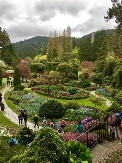 Butchart Gardens Victoria Bc Botanical Gardens In British Columbia