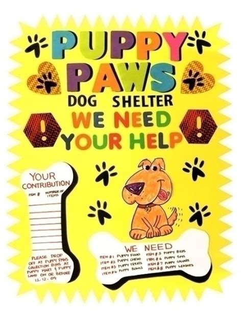Make An Animal Shleter Poster Animal Shelter Fundraiser Poster Ideas
