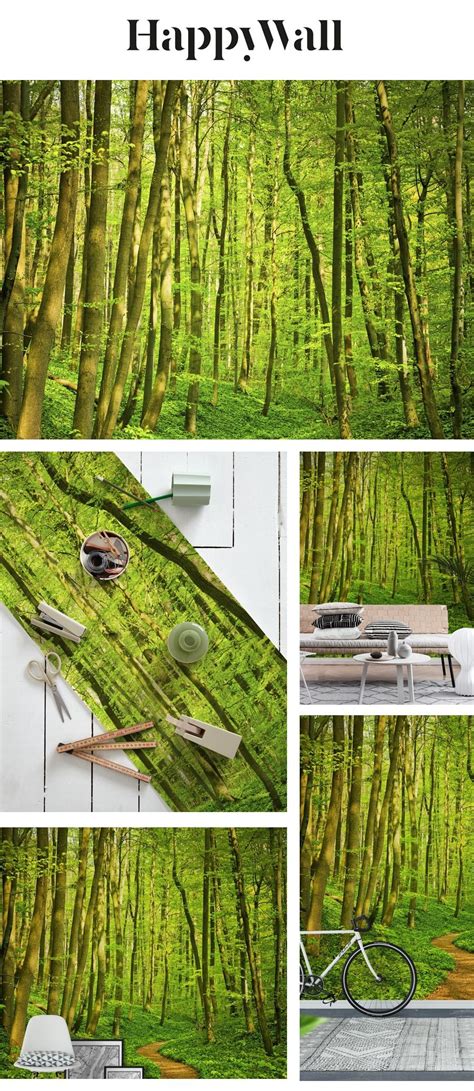 Green Forest Path Wallpaper Forest Path Forest Wall Mural Wall Murals