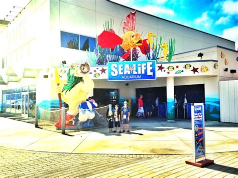 Shark Week At Sea Life Aquarium Get A Free Ticket Popsicle Blog