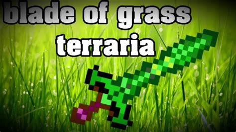 Log in or sign up in seconds.| is anybody else hoping this becomes a saga where the grass blade slowly grows more and more onto finn and eventually starts to control him? Terraria Blade of grass - YouTube