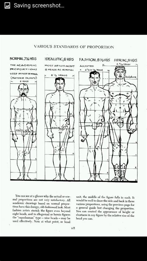 Pin By Celine Angelia On Human And Body Proportion Figure Drawing