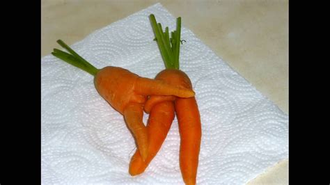 Even Carrots Love Sex Stop Motion Youtube