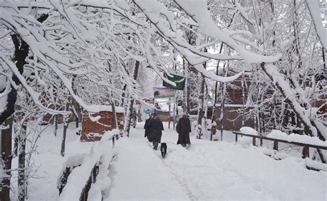 Prevailing weather conditions in jammu and kashmir for skiing. Photos: Fresh snowfall in Kashmir Valley; temperature ...