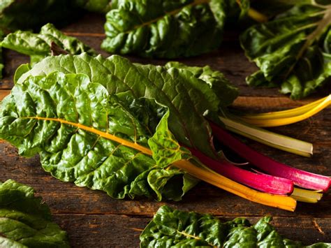 Swiss Chard Harvest When Is Chard Ready To Pick