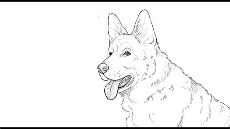 How To Draw German Shepherd Dog Youtube