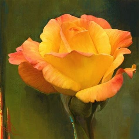 Yellow Rose Flower Painting