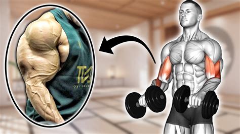 Fastest Huge Biceps Exercises Dumbbell Youtube