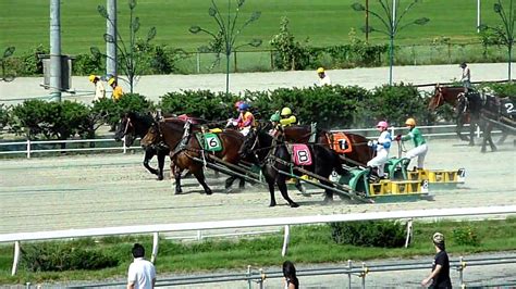 100807 ばんえい競馬動画 003 Youtube