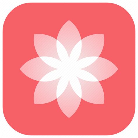 Gallery Beauty Images Flower Retouching App Icon Download On
